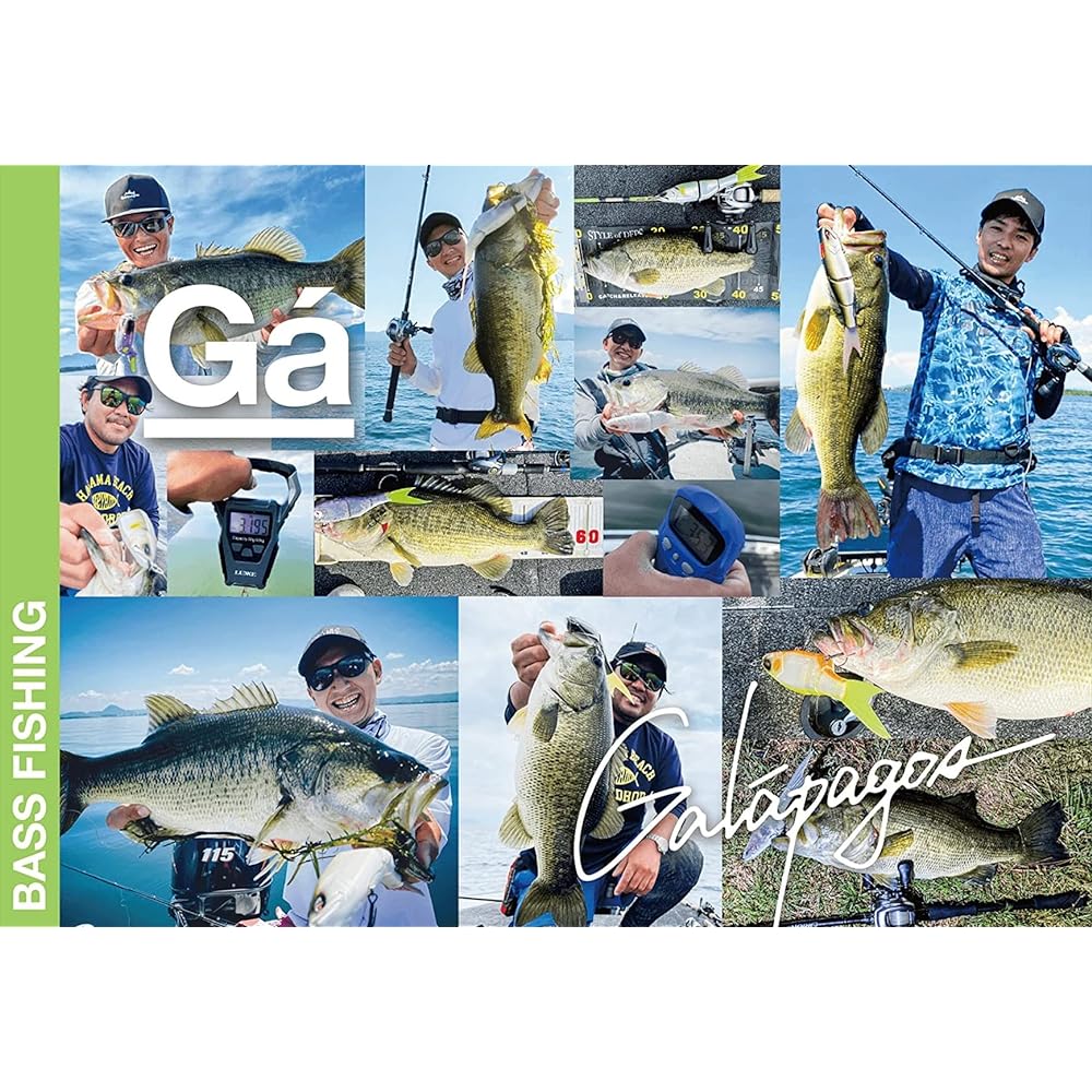 BunBun Fishing Gear Bunbun Grace Big Bait Swimbait 240F Bass Bass Lure Big Bass Galapagos