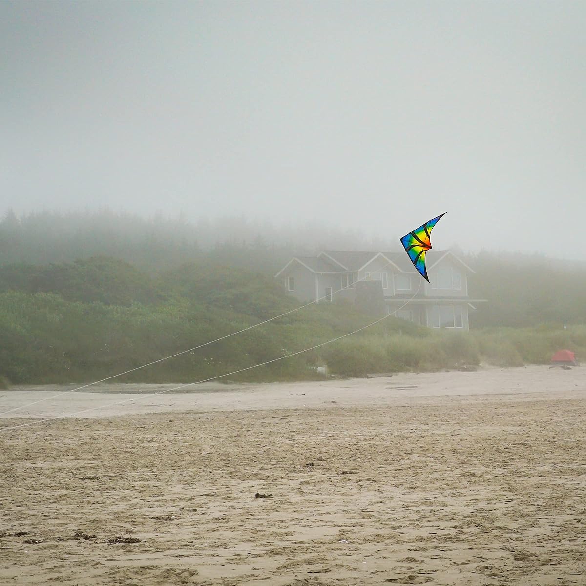 In the Breeze Dual Control Stunt Kite