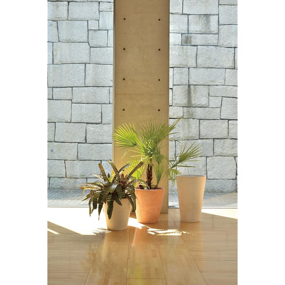 TERRA-MENT Round26 White 910-220-101