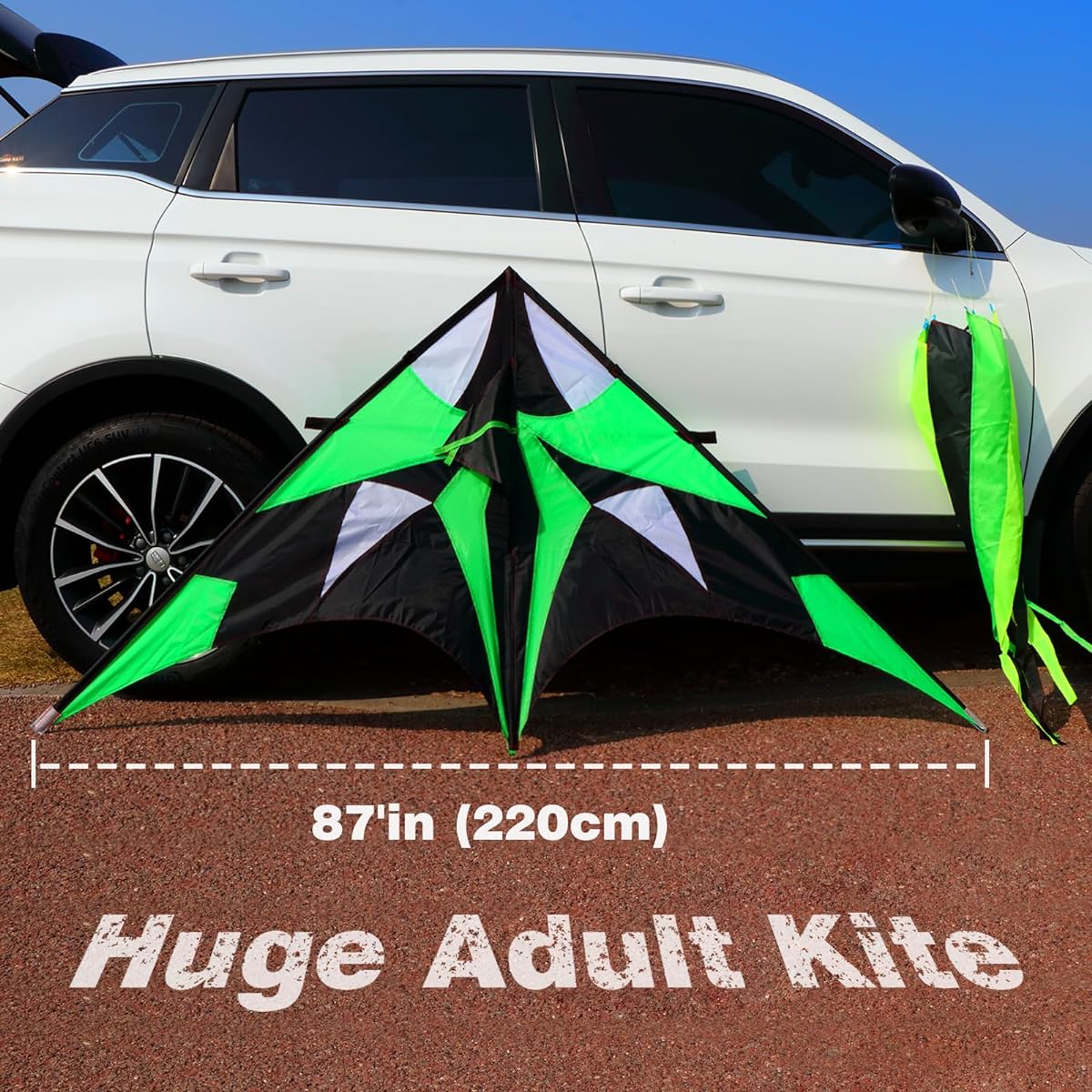WEICAFLY Giant Delta Kite for Adults with 3D Spinning Kite Tail Big Kite for Kids and Adults Ages 10+ Giant Single Line Beach Kite