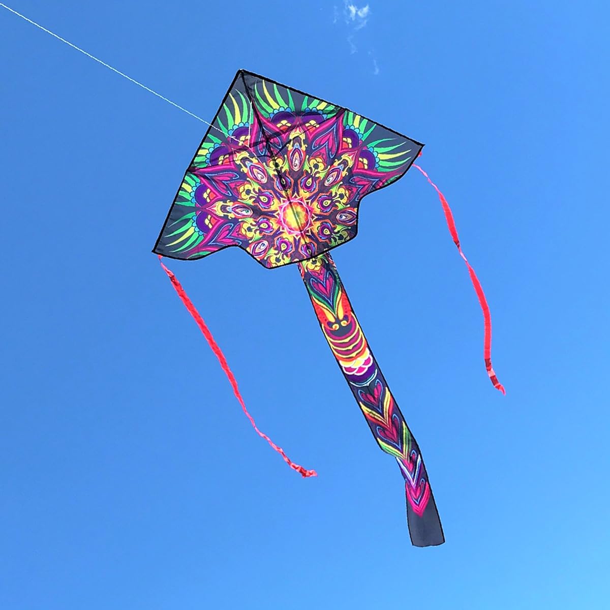 In the Breeze Mandala 45" fly-hi Kite - Colorful Single Line Kite - Ripstop fabric - Kite Line and bag included