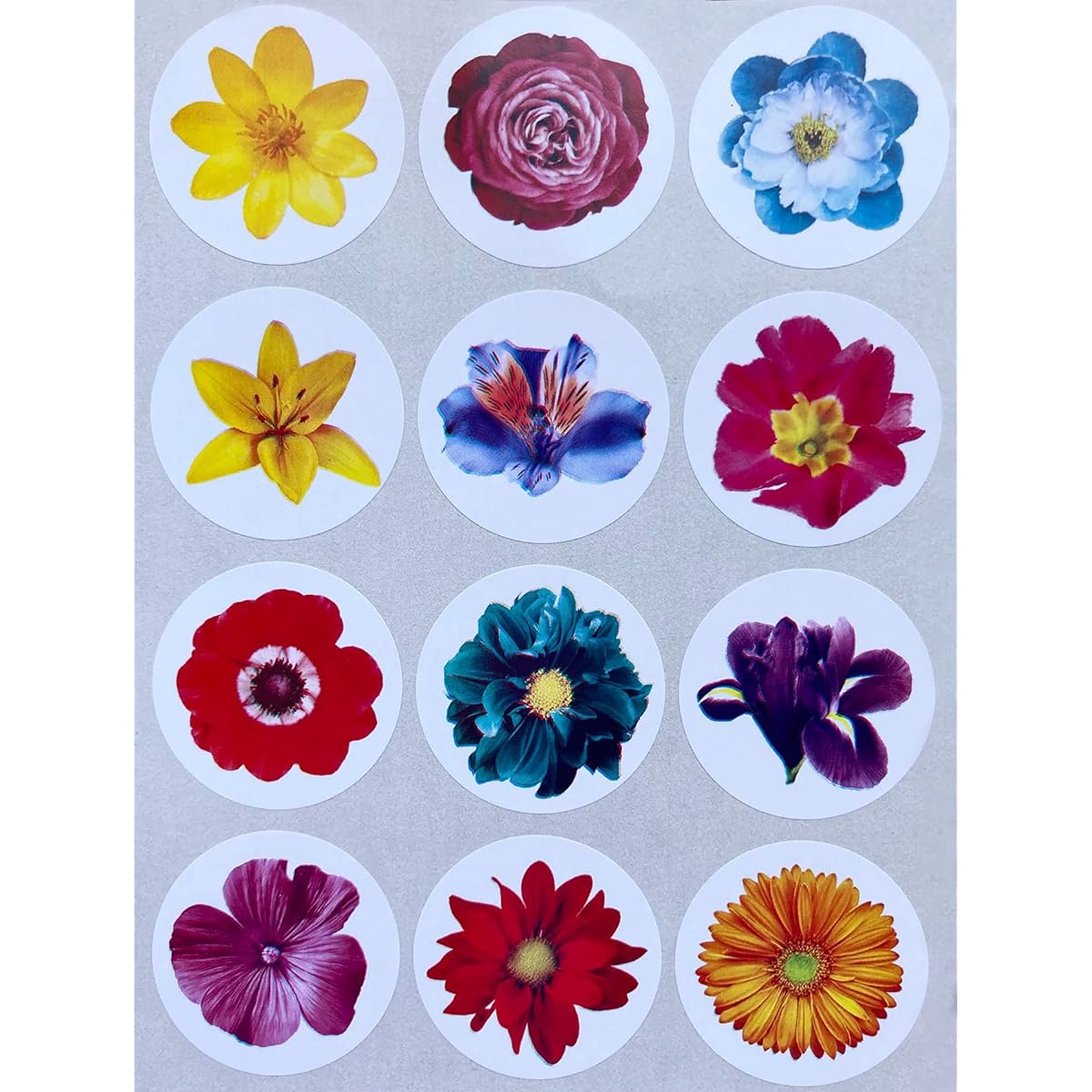 Royal Green Colorful Floral Stickers for Arts & Crafts Real Flower Sticker Set - Pack of 120