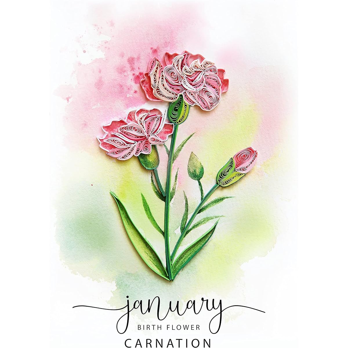 TUMYBee Birth Flower Card Handmade Killing Floral Card Birthday Carnation Floral Card Birth Month Flower Mother Woman Daughter Grandmother Birth Flower Gift Decoration 12 Months Flower Card (January)