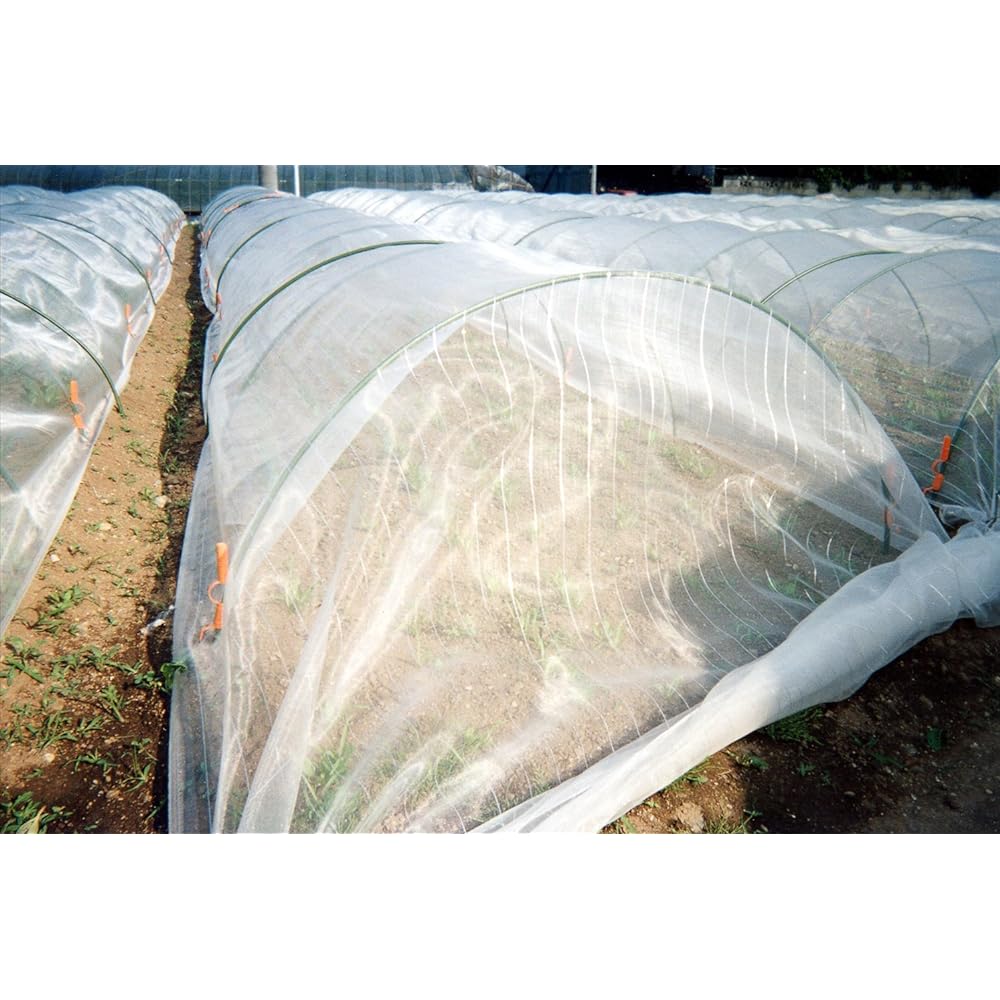 Sunshine S-2000 1.8×10