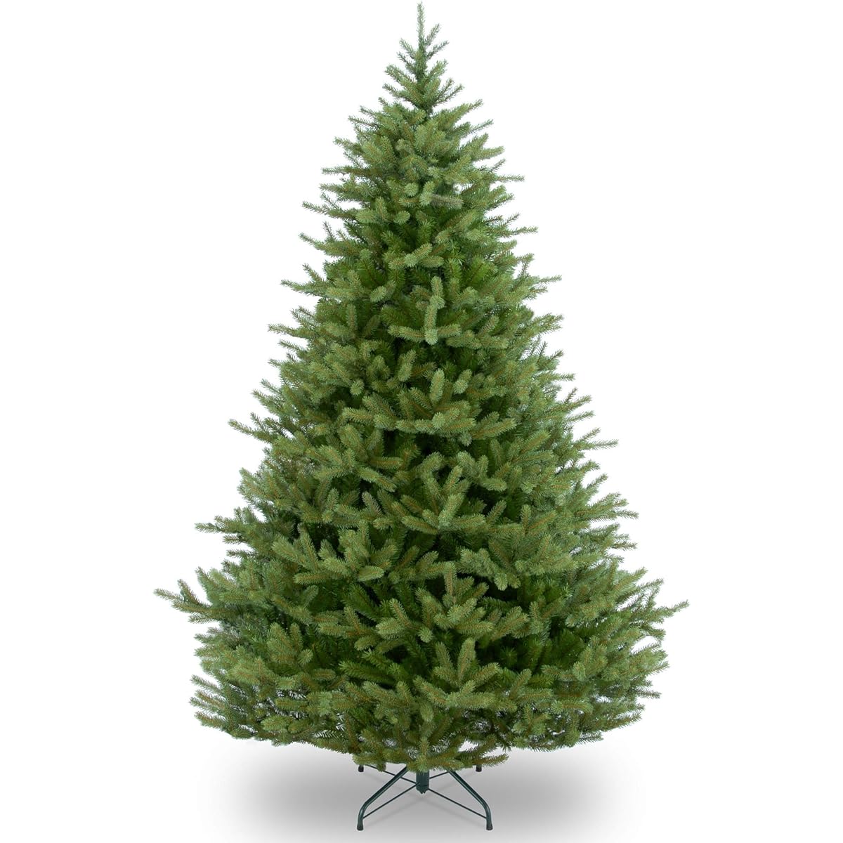 National Tree Norway Spruce Tree Green