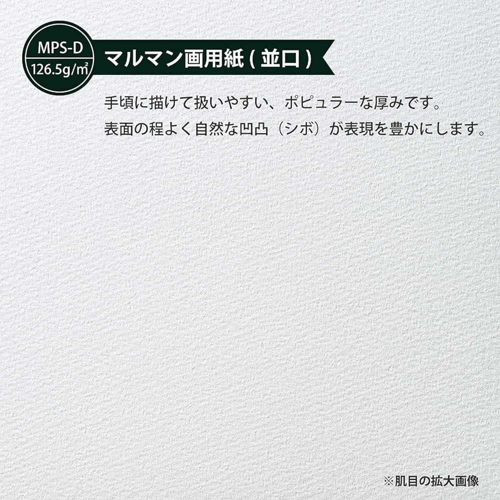 Maruman Sketchbook A4 Design Series Tennori Binding Drawing Paper Normal Opening 50 Sheets S252X40 40 Books