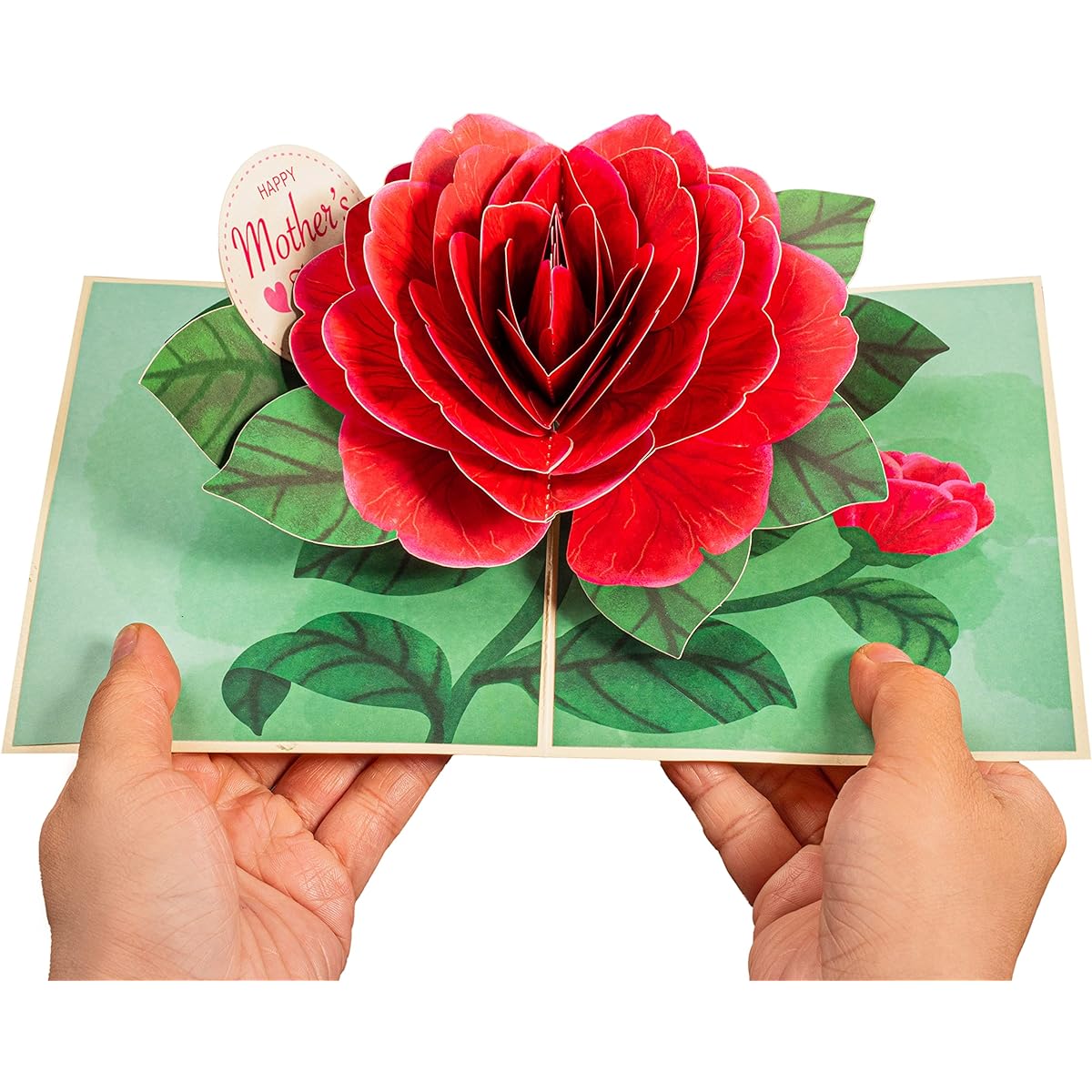 Pop of Art 3D Pop Up Mother's Day Card, Red Camellia, for All Occasions - 5" x 7" Cover - Includes Envelope and Note Tag