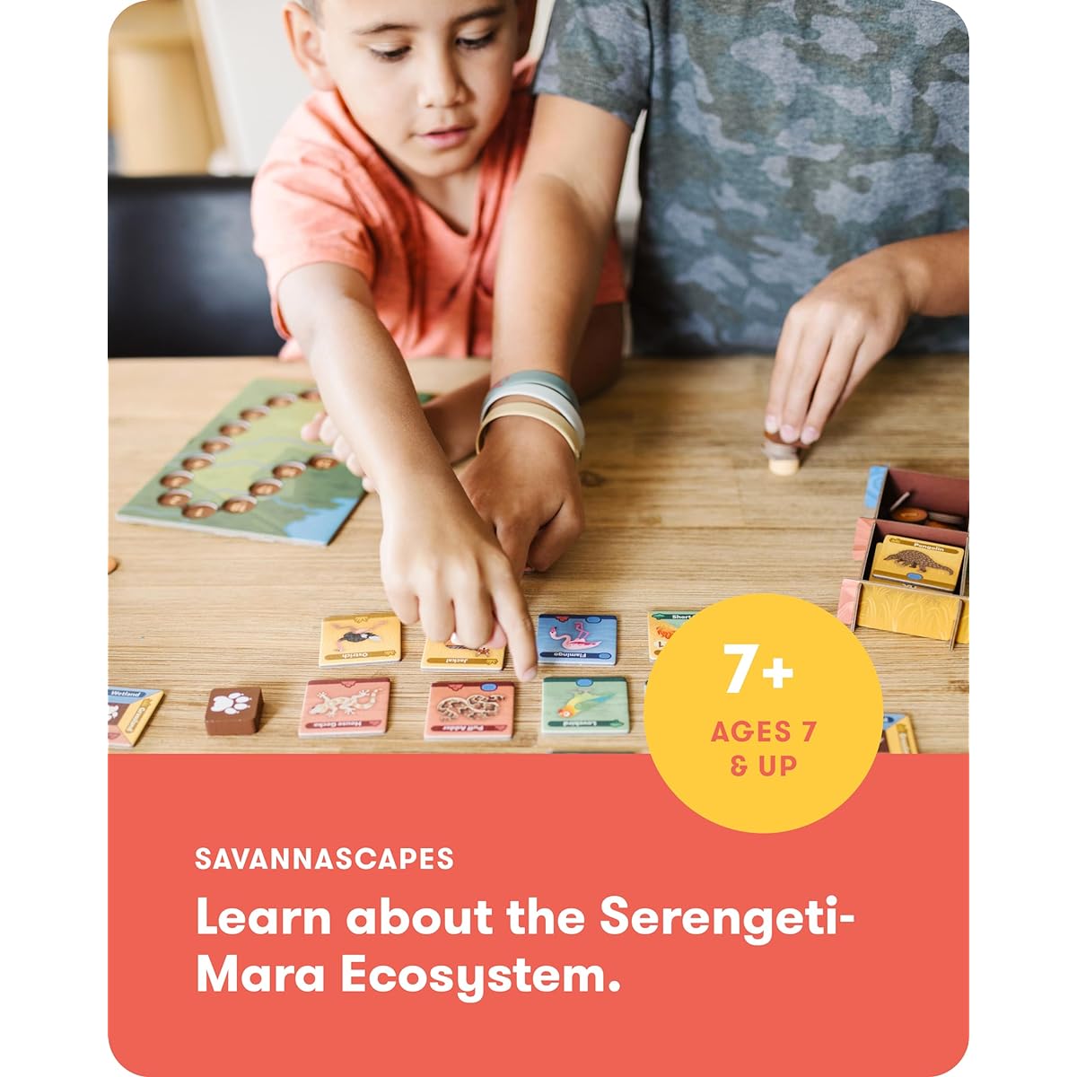 SimplyFun SavannaScapes - Wildlife and Ecosystem Educational Game for Kids Ages 7 & Up - Engaging, Strategic and Fun - 2 to 5 Players