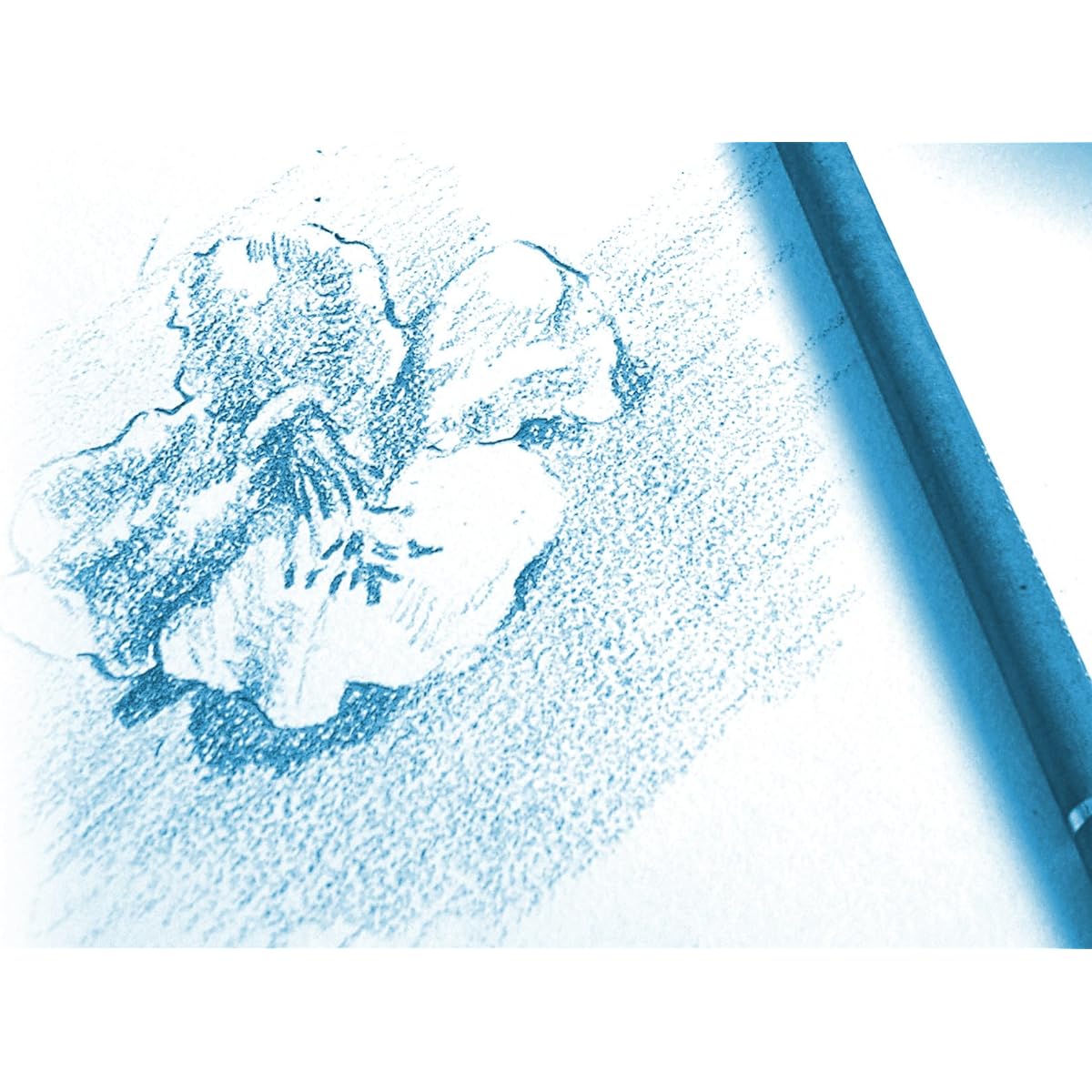 Clairefontaine - Ref 96628C - White Grain Drawing Wirebound Paper Pad (30 Sheets) - A4 Size 180gsm Paper White & Grain Drawing Paper Acid Free pH Neutral