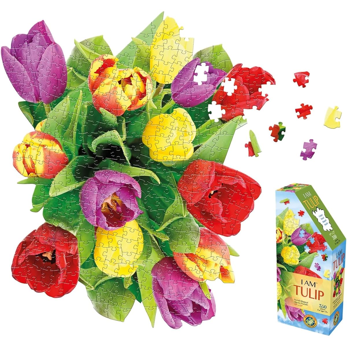Madd Capp: I Am Tulip - 350 Piece Jigsaw Puzzle - 8005 - Ages 10+ Unique Floral Borders Challenging Random Cuts Includes Educational Madcap Fun Facts