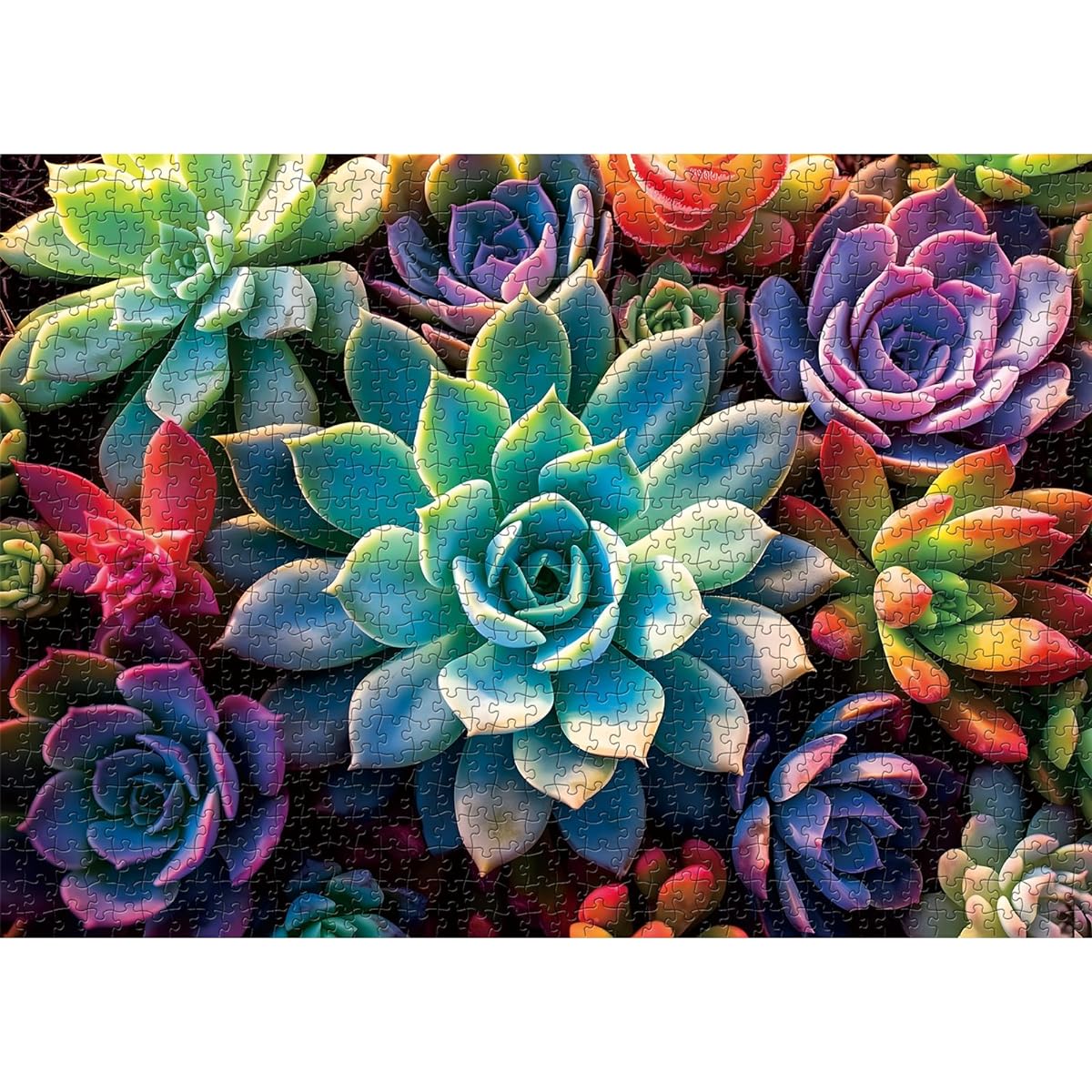 PICKFORU Impossible Succulent Puzzle for Adults 1000 Pieces Colorful Succulent Plant Puzzle Nature Jigsaw Puzzle Succulent Gift Challenging Collage Puzzle for Adults