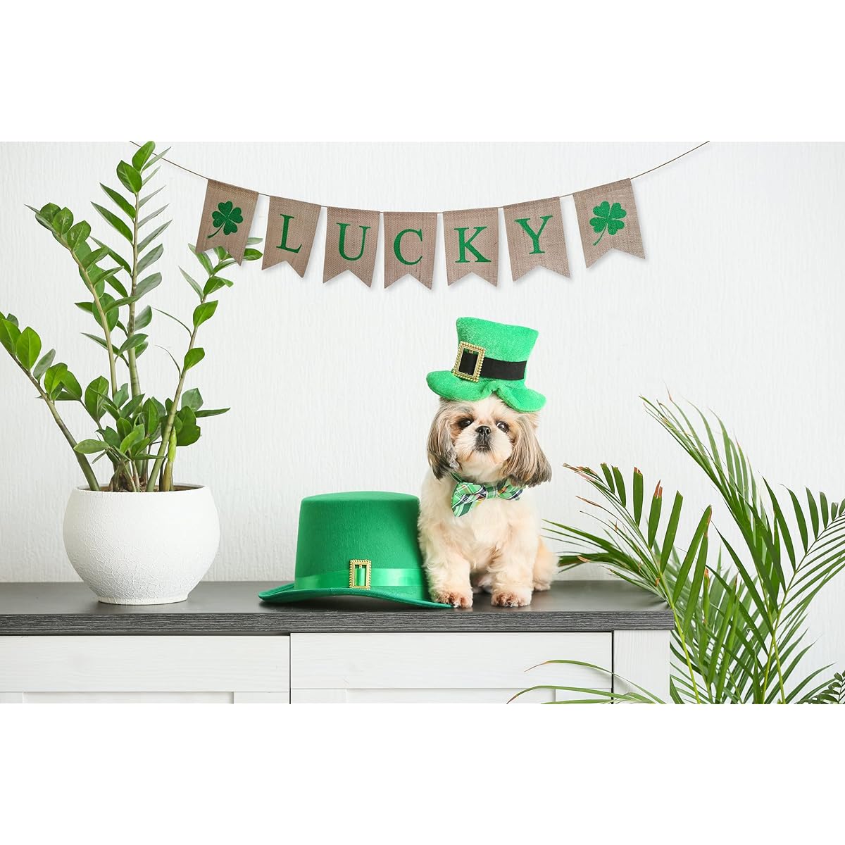 Jolly Jon St. Patrick's Day Lucky Banner Burlap Hanging Garland Decor St. Patrick's Day Party Supplies Ready to Hang Shamrock Decoration Holiday Decorations
