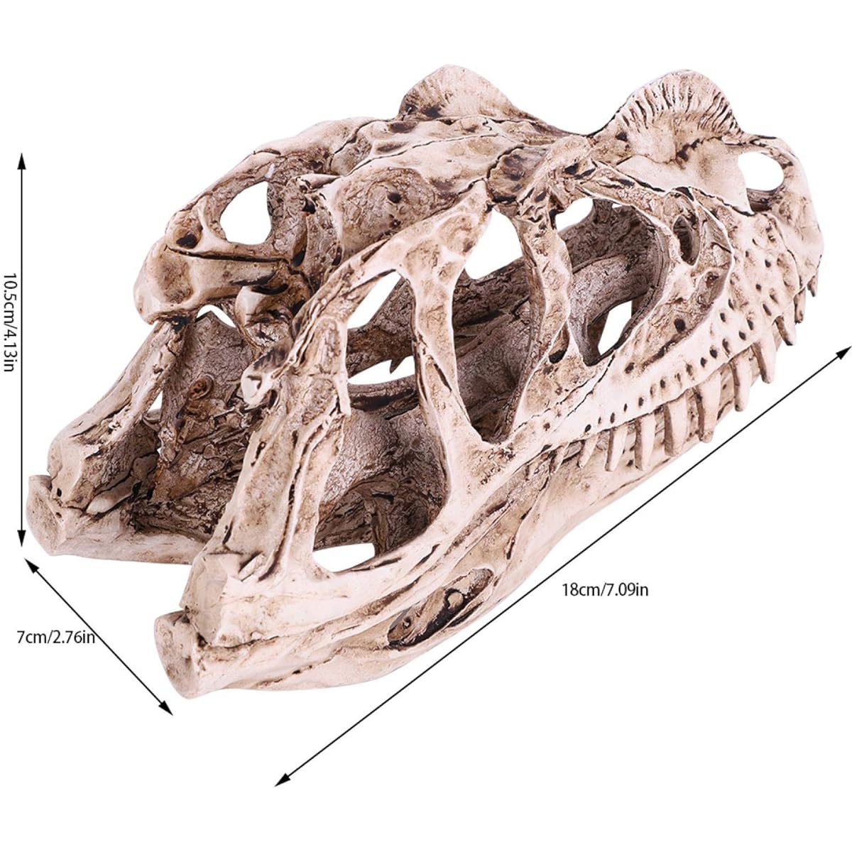 Fdit Resin Dinosaur Skull Model Teaching Skeleton Model Simulated Animal Skeleton Home Office Aquarium Decoration