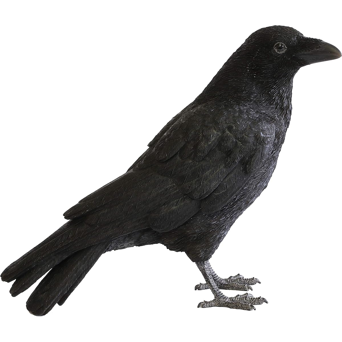 Magnet Pet Bank PET BANK Carrion Crow CARRION CROW 57801