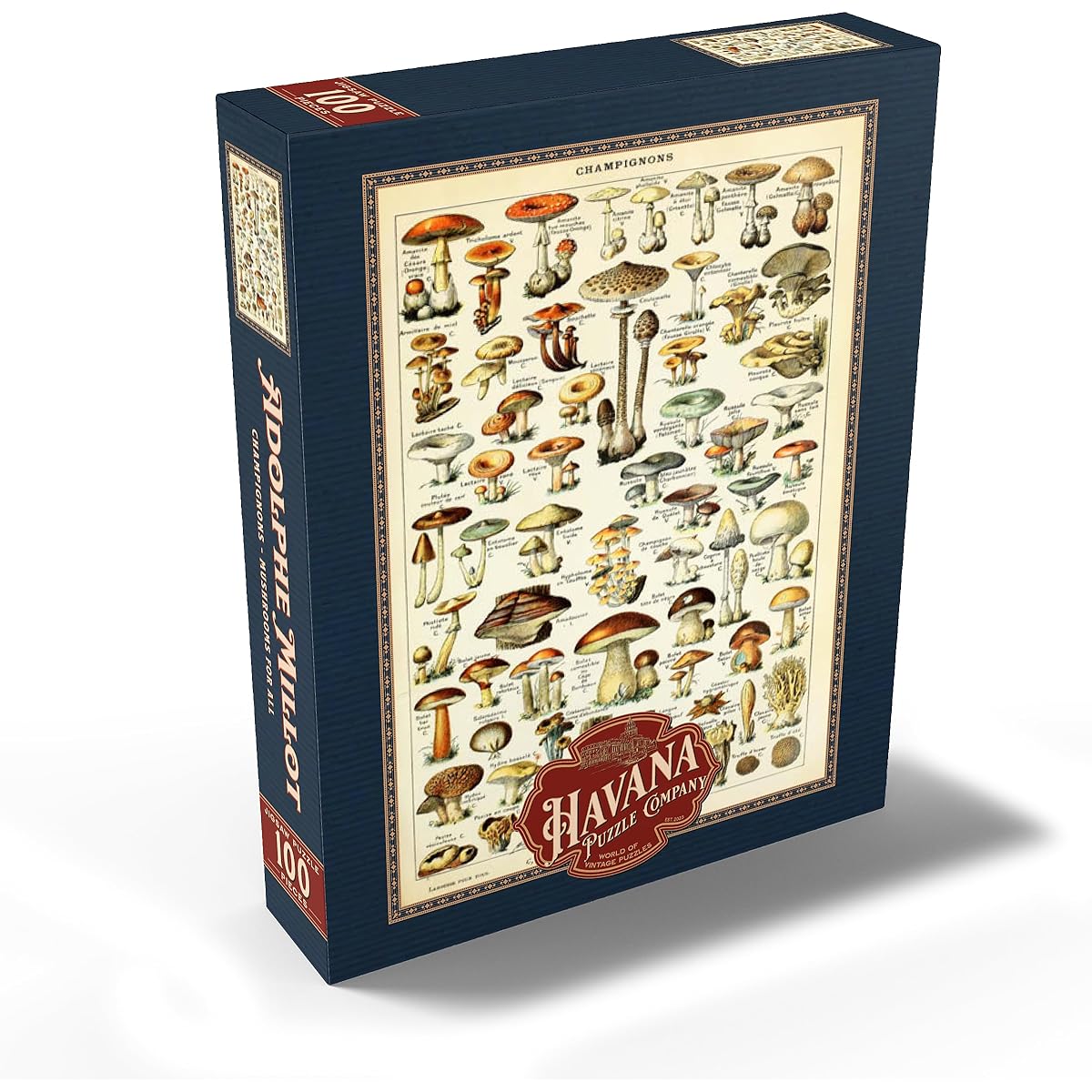 Champignons - All Mushrooms, Vintage Art Poster by Adolphe Millot - Premium 100 Piece Jigsaw Puzzle for Adults