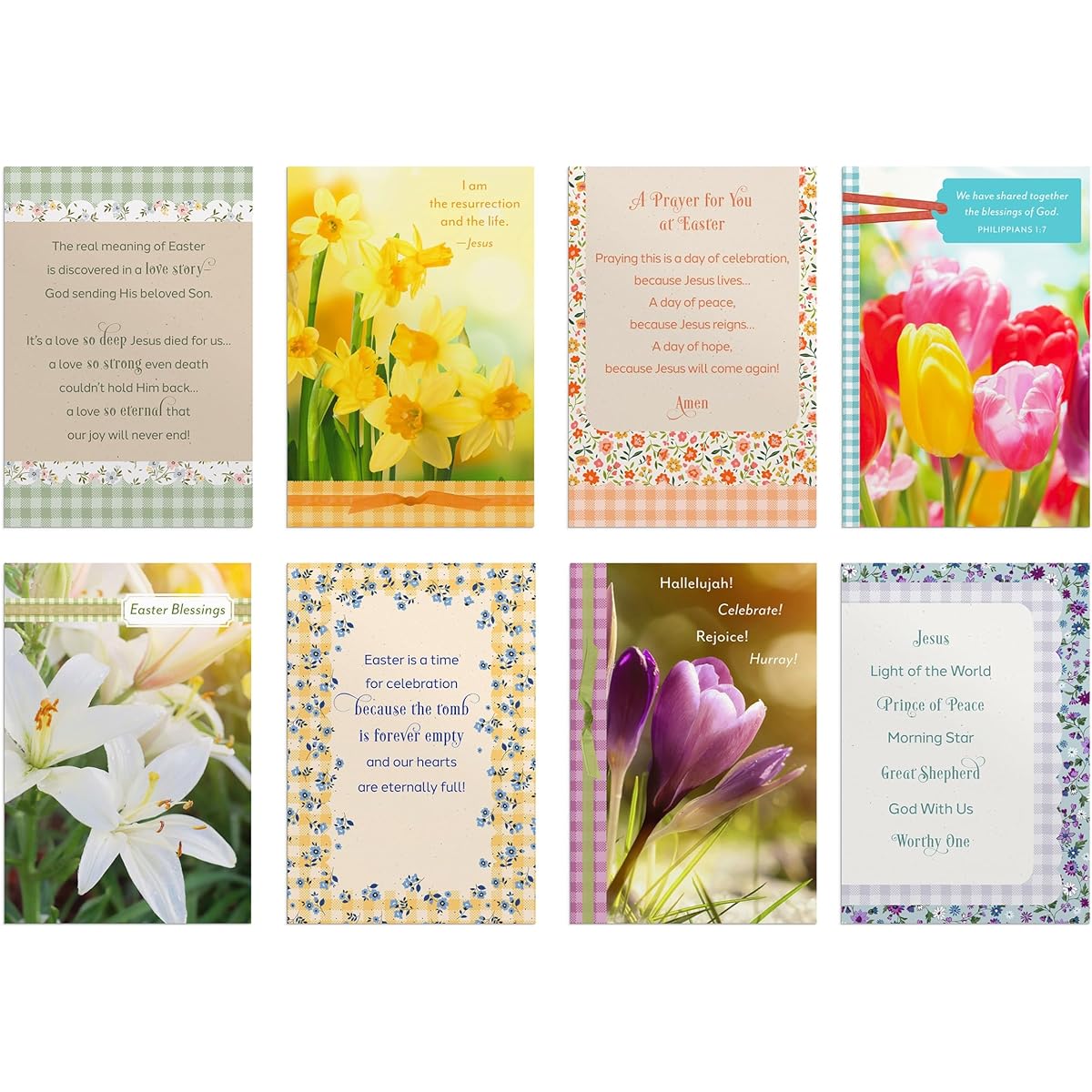 DaySpring - Aster Blessings - 8 Assorted Designs with Bible - Easter Box Cards and 24 Envelopes (U1617)
