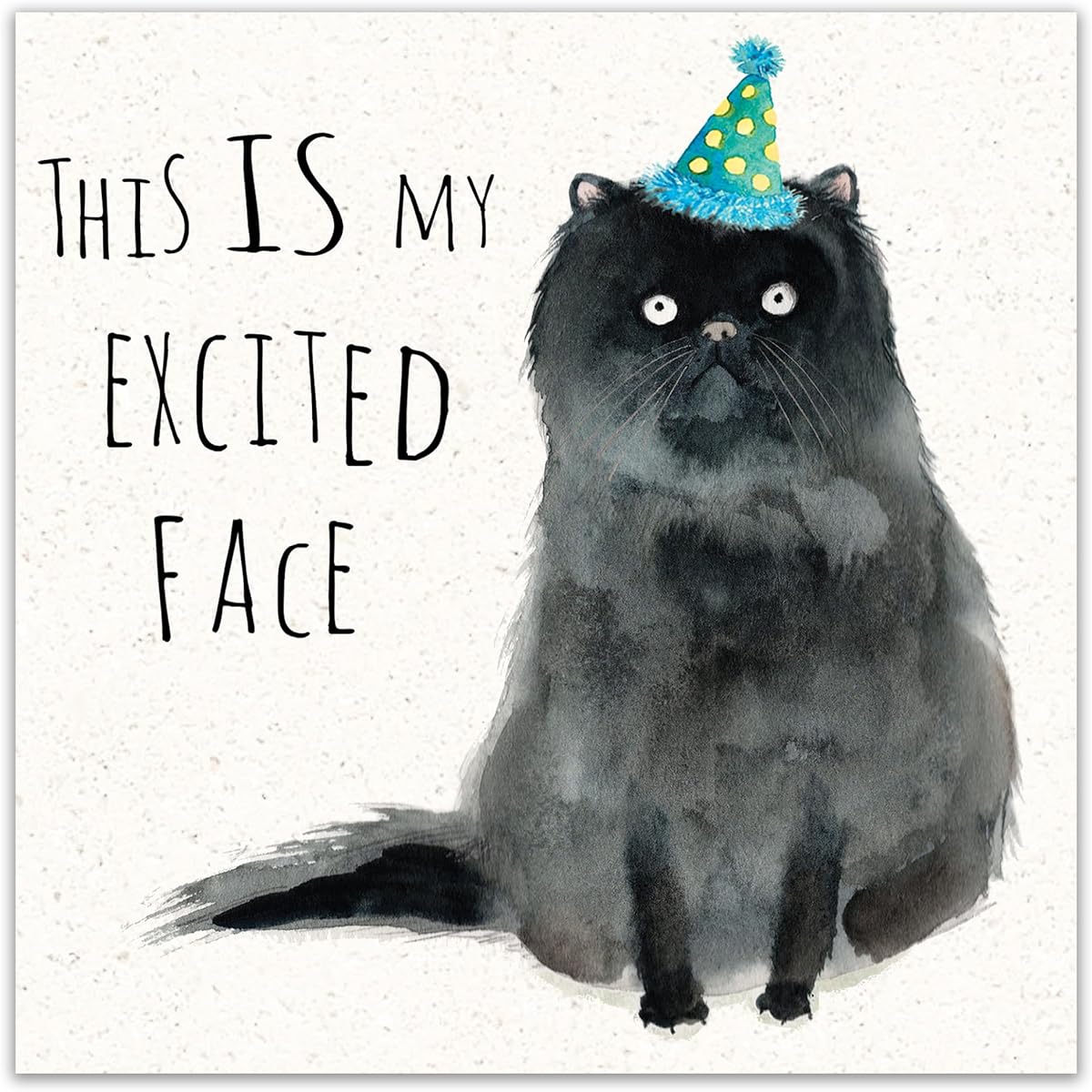 Twizler Funny Birthday Cards Cat - Funny Birthday Cards Women - Funny Birthday Cards Men - Funny Birthday Cards - Funny Birthday Cards for Him - Funny Cards Birthday - Happy Birthday Cards - Cat Cards