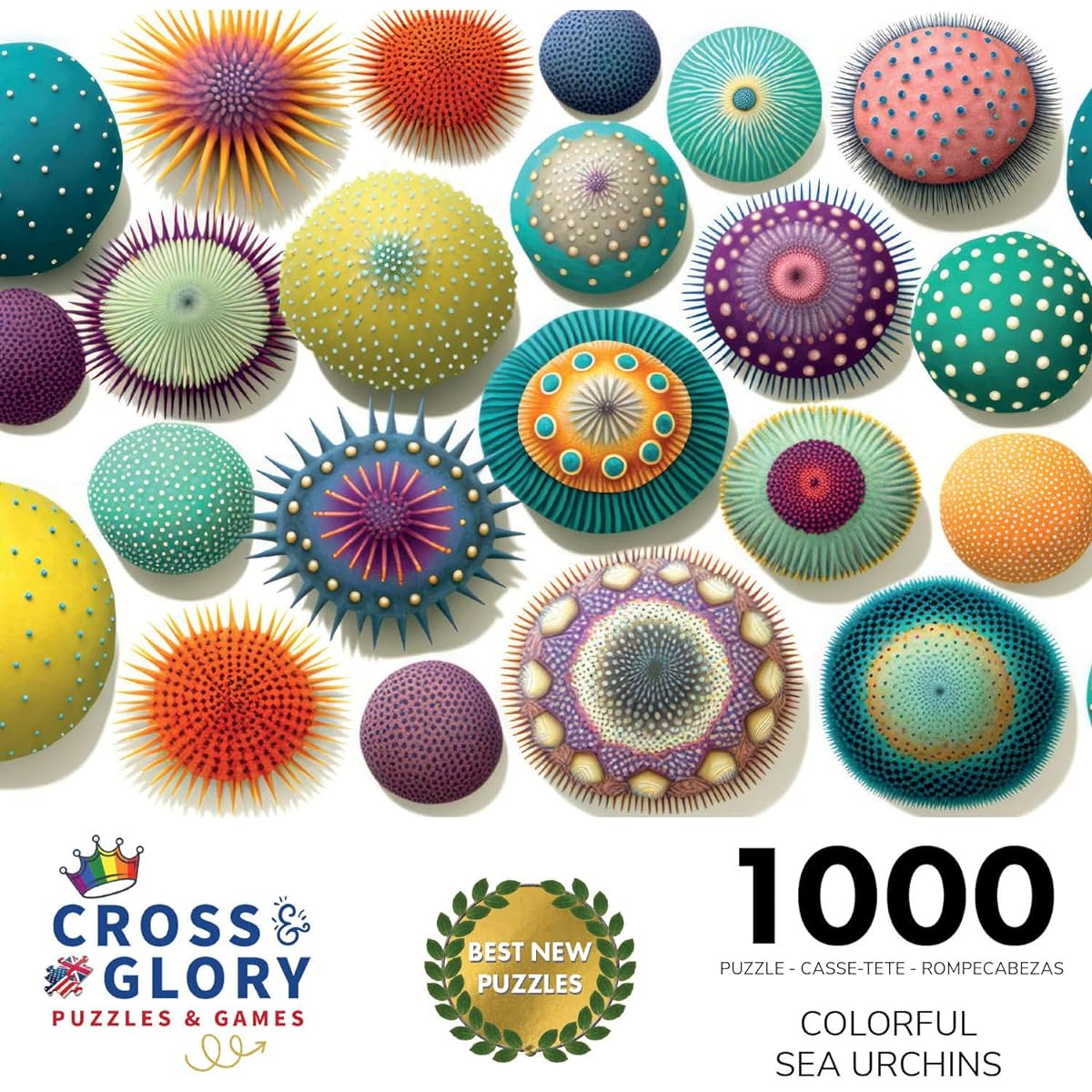 Cross & Glory Colorful Sea Urchin Jigsaw Puzzle 1000 Pieces Vivid and Beautiful Collage Challenging and Relaxing for Adults Unique and Beautiful Design