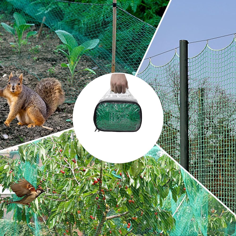 Baseball net, Baseball practice net, Baseball bag net, Ball prevention net, Bird prevention net, Beast prevention net, Multi-purpose net, Shatterproof net, Green net, 2x3m