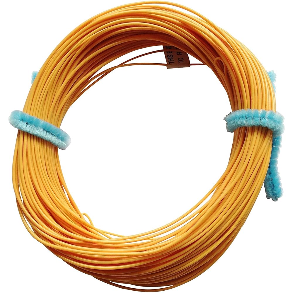 Fly line DT-4F double taper floating 100FT(30.5m)