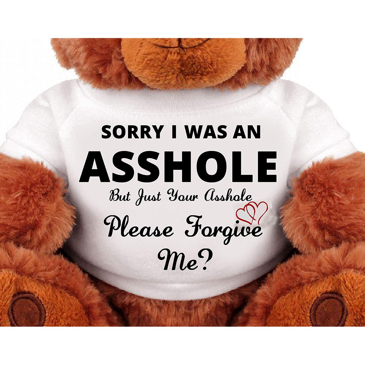 SinMan Sorry Forgive Me? :Thank You Gift :Cute Cuddly Romantic Funny Teddy Bear Couple Gift :Medium Soft Teddy Bear Plush Toy