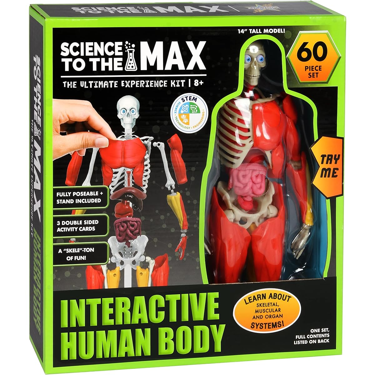 Science To The Max - Interactive Human Body