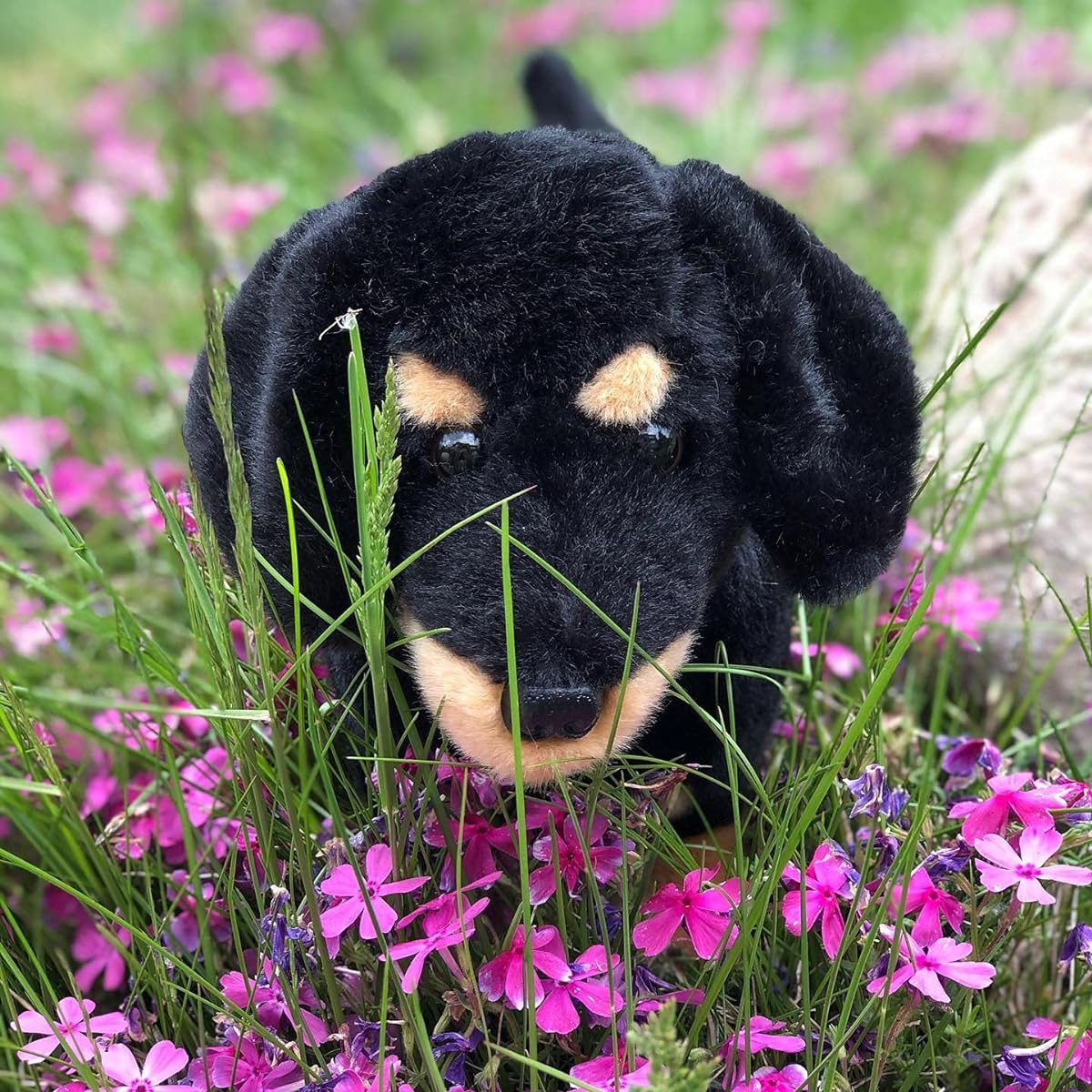 Auswella Plush Black & Tub Dachshund Stuffed Puppy