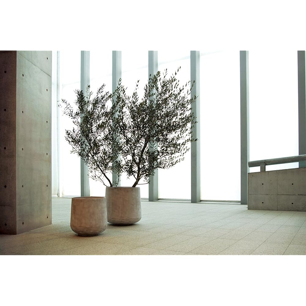 TERRA-MENT DropRound55 White 910-247-101 Compatible pot: No. 16