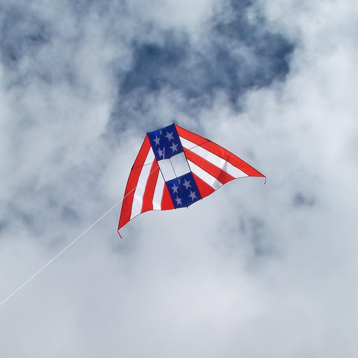 In the Breeze Patriot Conyne Delta Kite, 6ft
