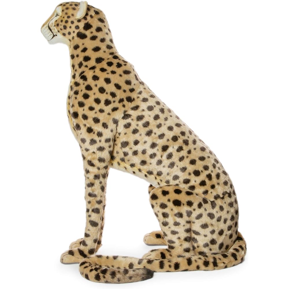 BH6543 HANSA Cheetah 110