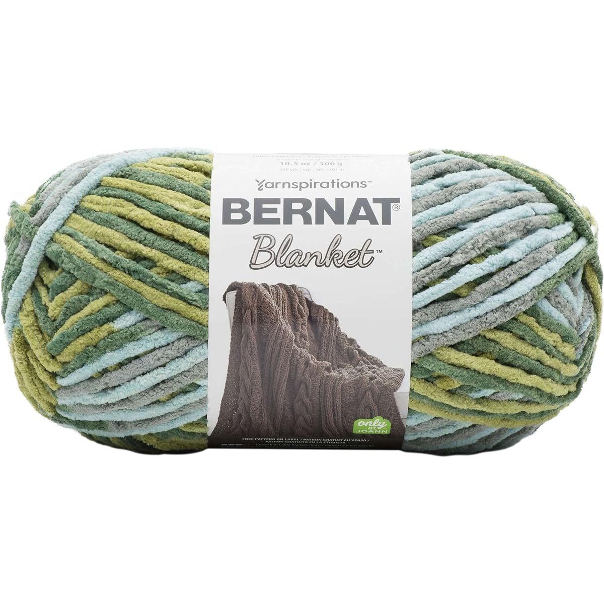 Bernat Blanket Big Ball Yarn Forest Sage 161110-10869 (2 Skeins) Same Dye Lot Weight S Bulky #6 Soft 100% Polyester Artsiga Includes 1 Craft Bag