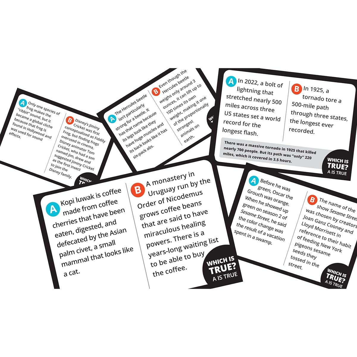 PAUSE INDUSTRIES Plausability - A Trivia Game for Teens and Adults, Guess Which “Fact” is True?