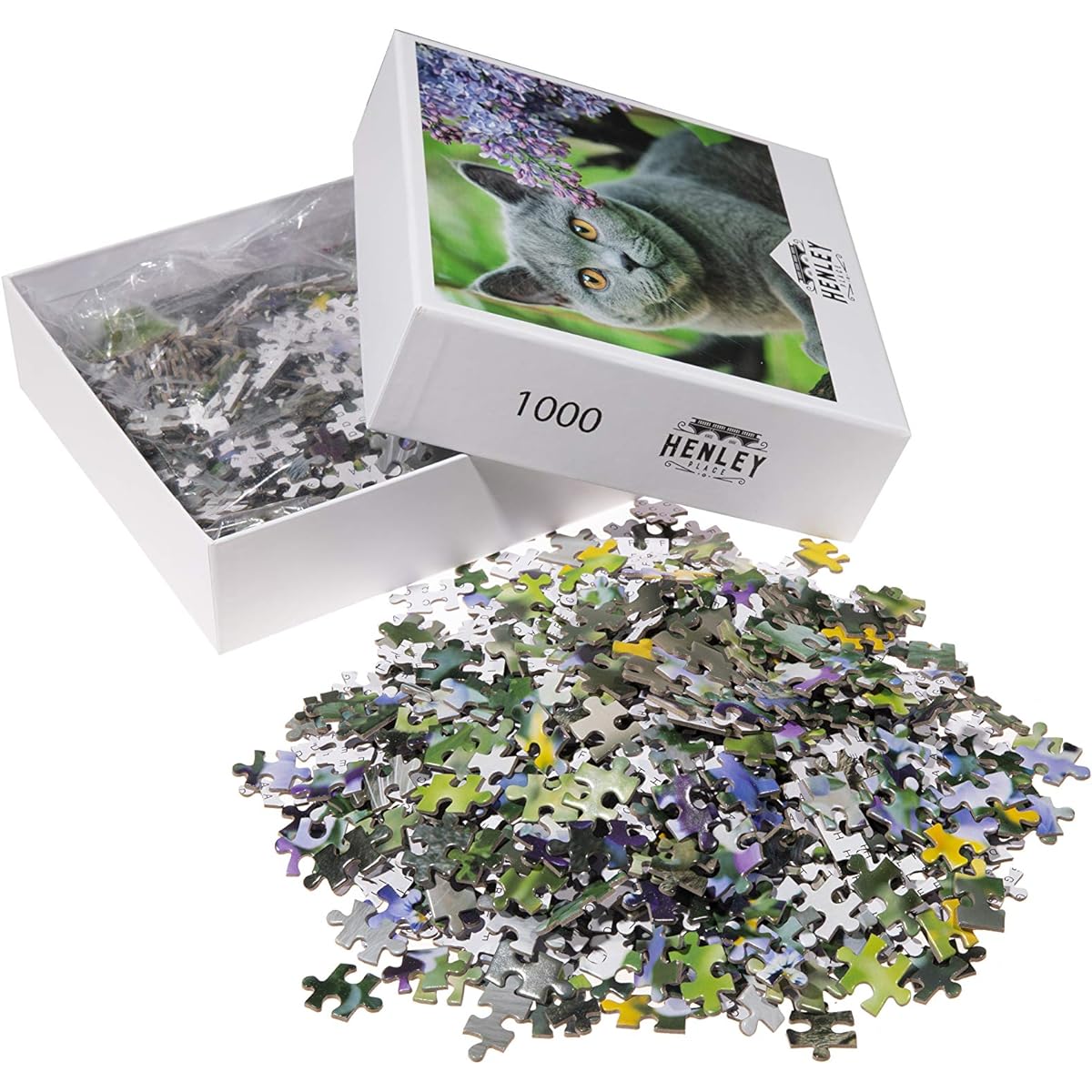 Henry Place British Shorthair 1000 Piece Jigsaw Puzzle for Adults and Kids - Large, Adorable Illustration of a Fluffy Grey Cat - 50 x 70cm