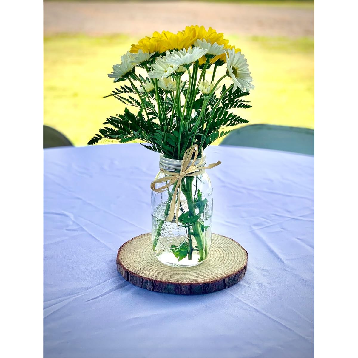 Set of 10 Wood Slices for Centerpieces! Wood Slice Centerpieces, Wood Rounds, Tree Slices (8 inches)