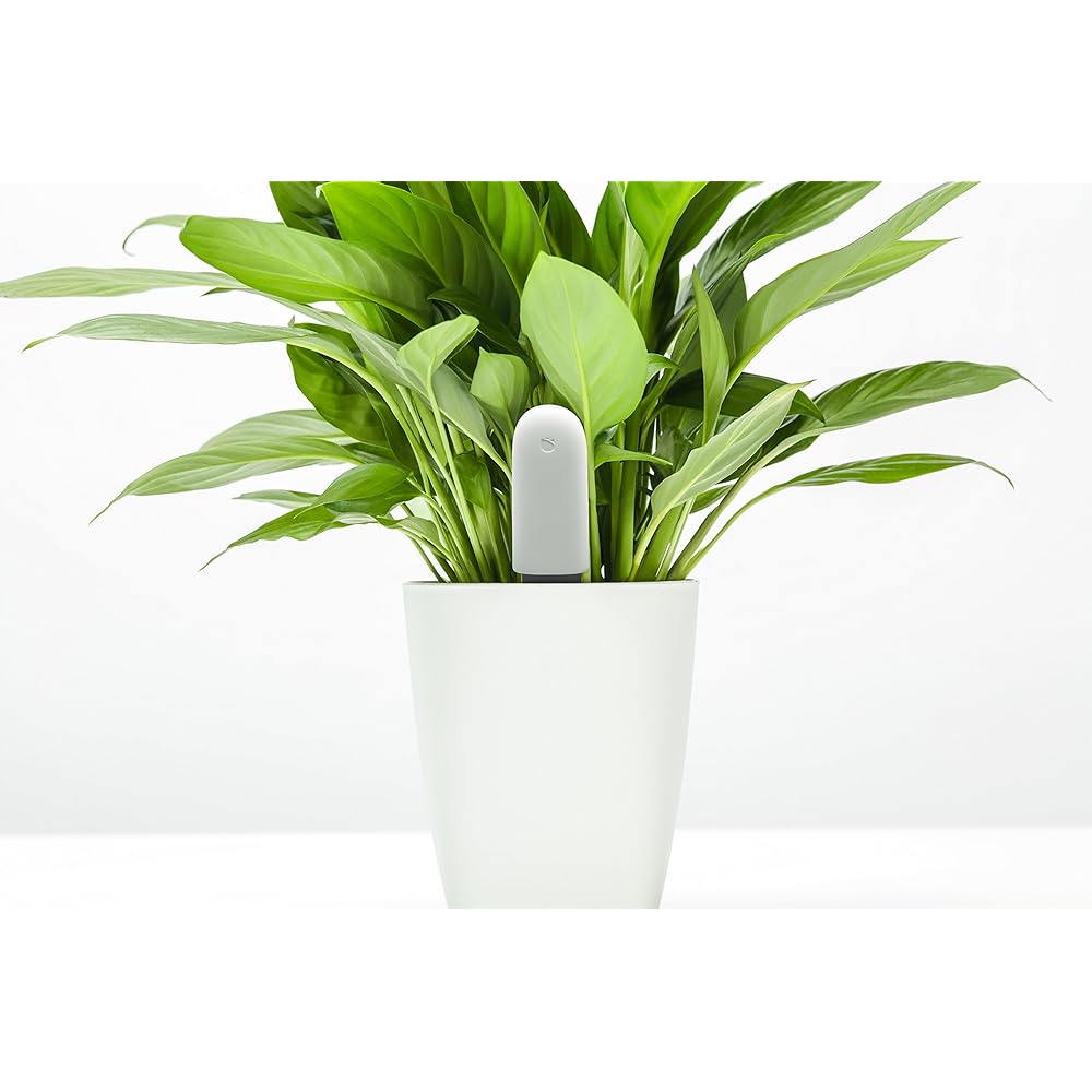 HHCC Plant Technology Flower Care Observation device that helps the growth of flowers