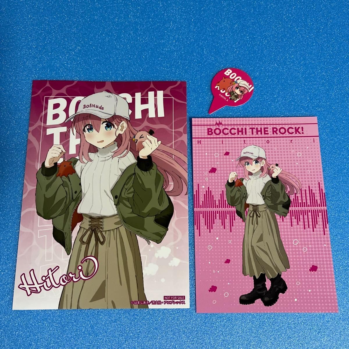 Bozaro x Sea Paradise Hakkeijima Sea Paradise Goto Hitori Purchase Bonus 2L Bromide Postcard Pick