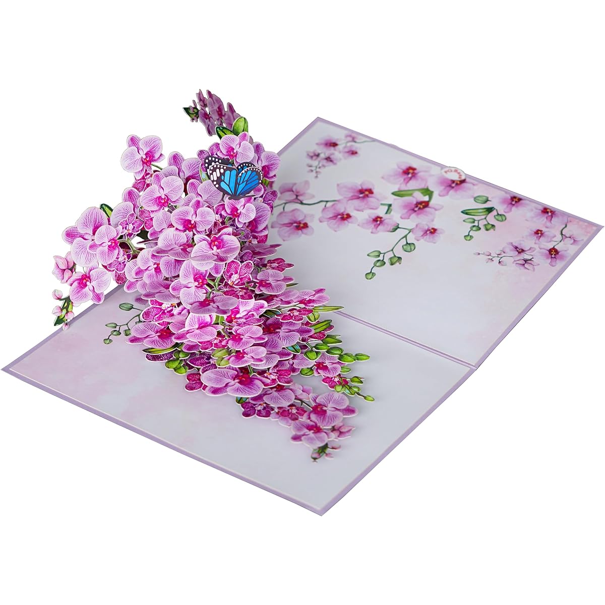 PQ Bees Birthday Pop Up Card 3D Mother's Day Anniversary Card (Size 6 x 8 Inch - Orchid)