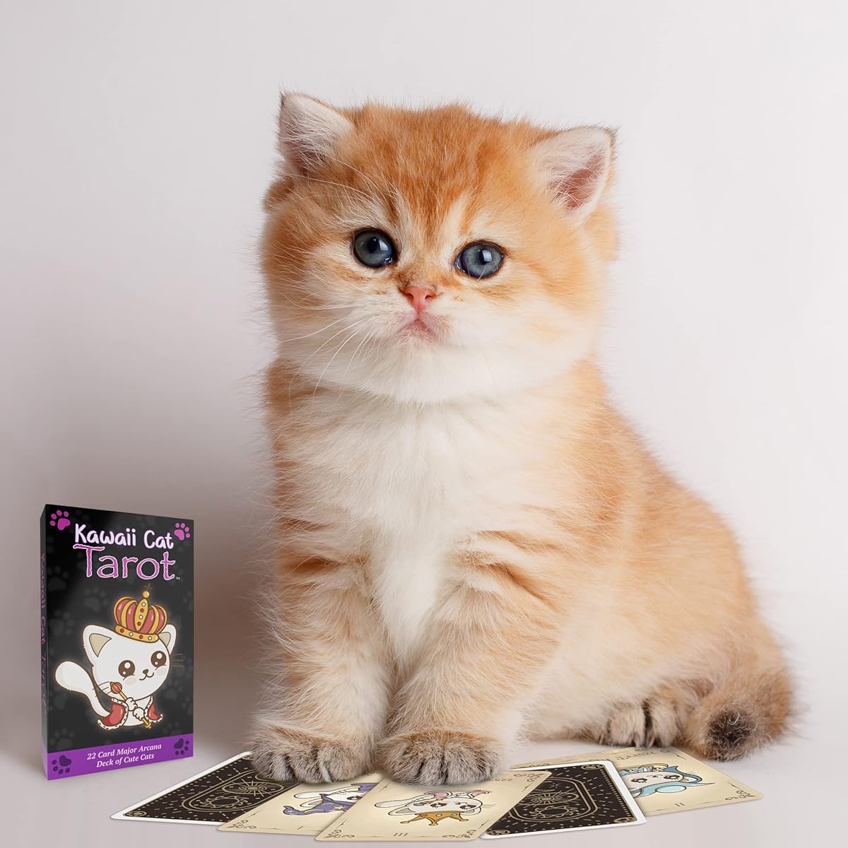 Cute Tarot with Cat Tarot Cards - 22 Major Arcana Card Deck - Cute Cat Tarot - Gifts for Cat Lovers for Beginners and Experts with Online Guide