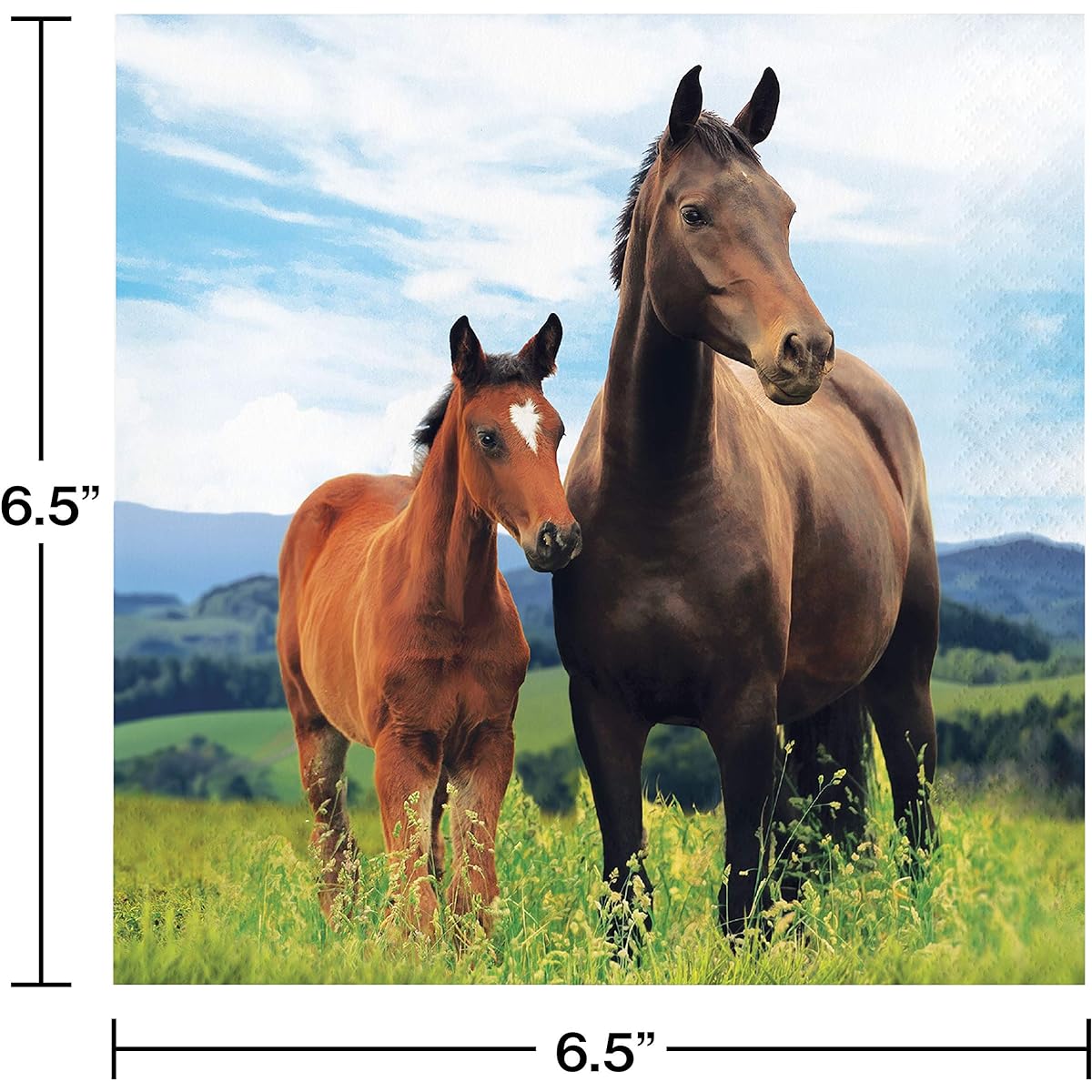 Wild Horse Napkins, 48 pieces