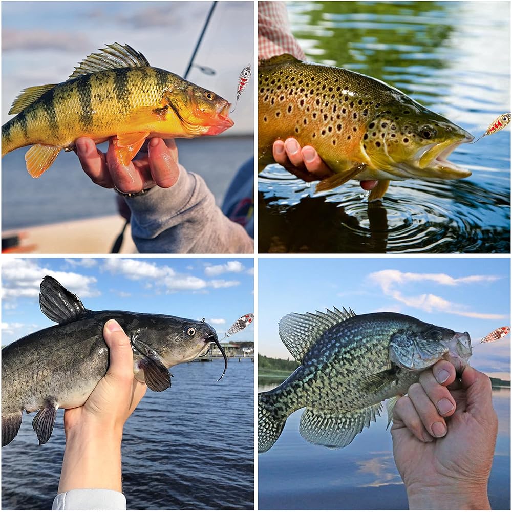Fishing Spoon Trout Mountain Stream Lure Spoon Set 2g 2.5 3g 5g Zinc Alloy Blade Fishing Tube Fishing Lure Set Yamame Char Wide Spoon Spoon Yamame Lure Set Mountain Stream Lure