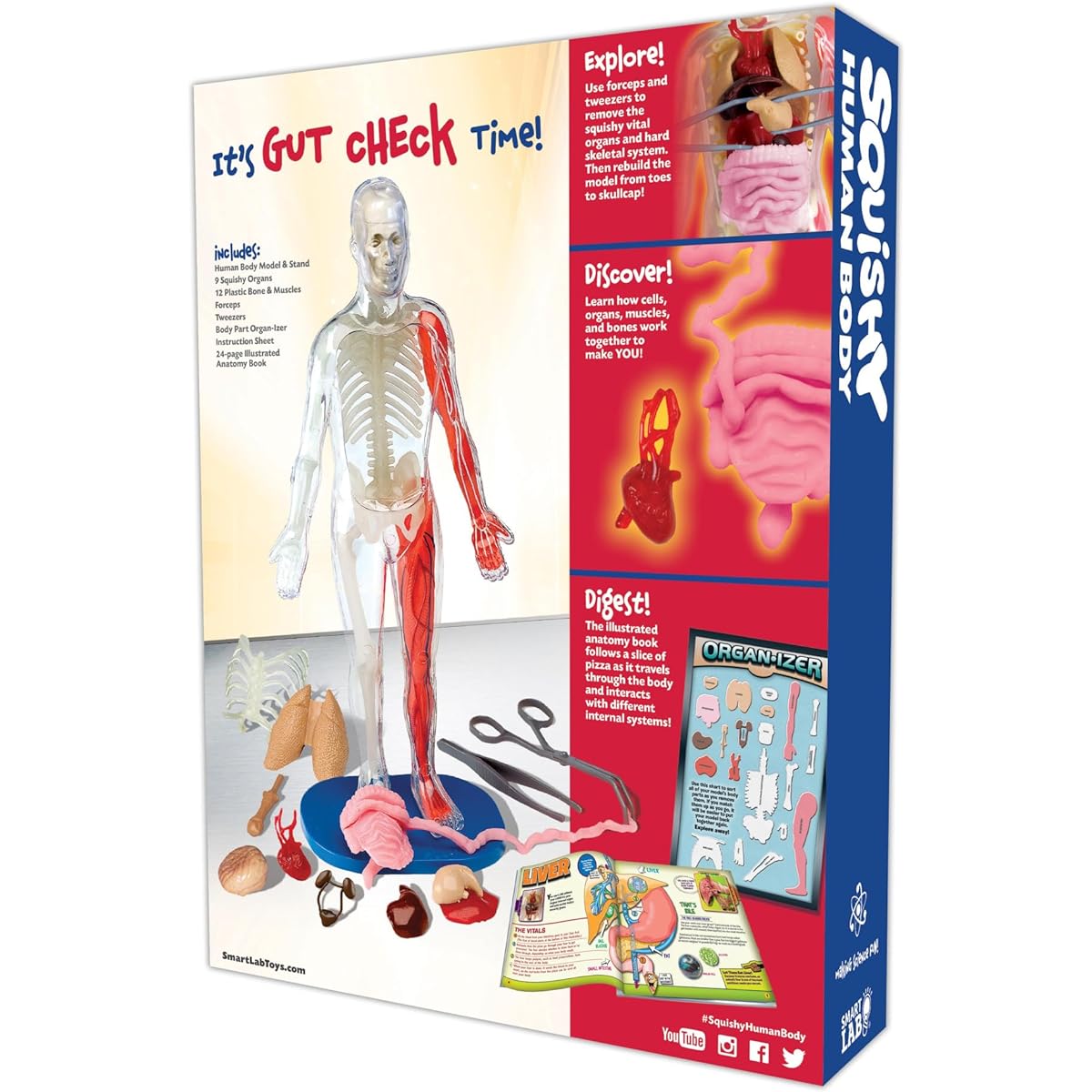 SmartLab QPG Lab Squishy Human Body for Kids Grades 3-8