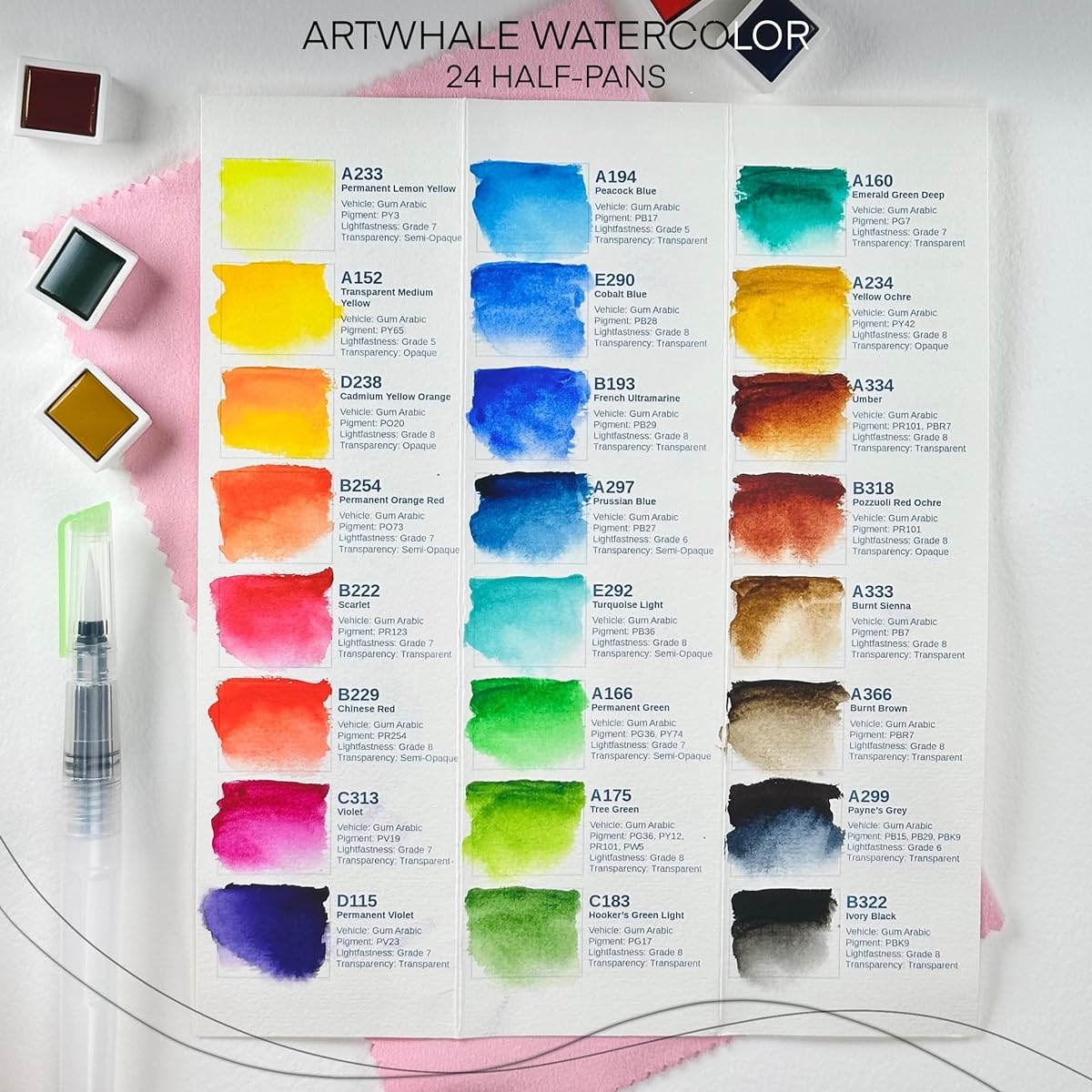 Art Whale Artist Watercolor 24 Colors Half Pan
