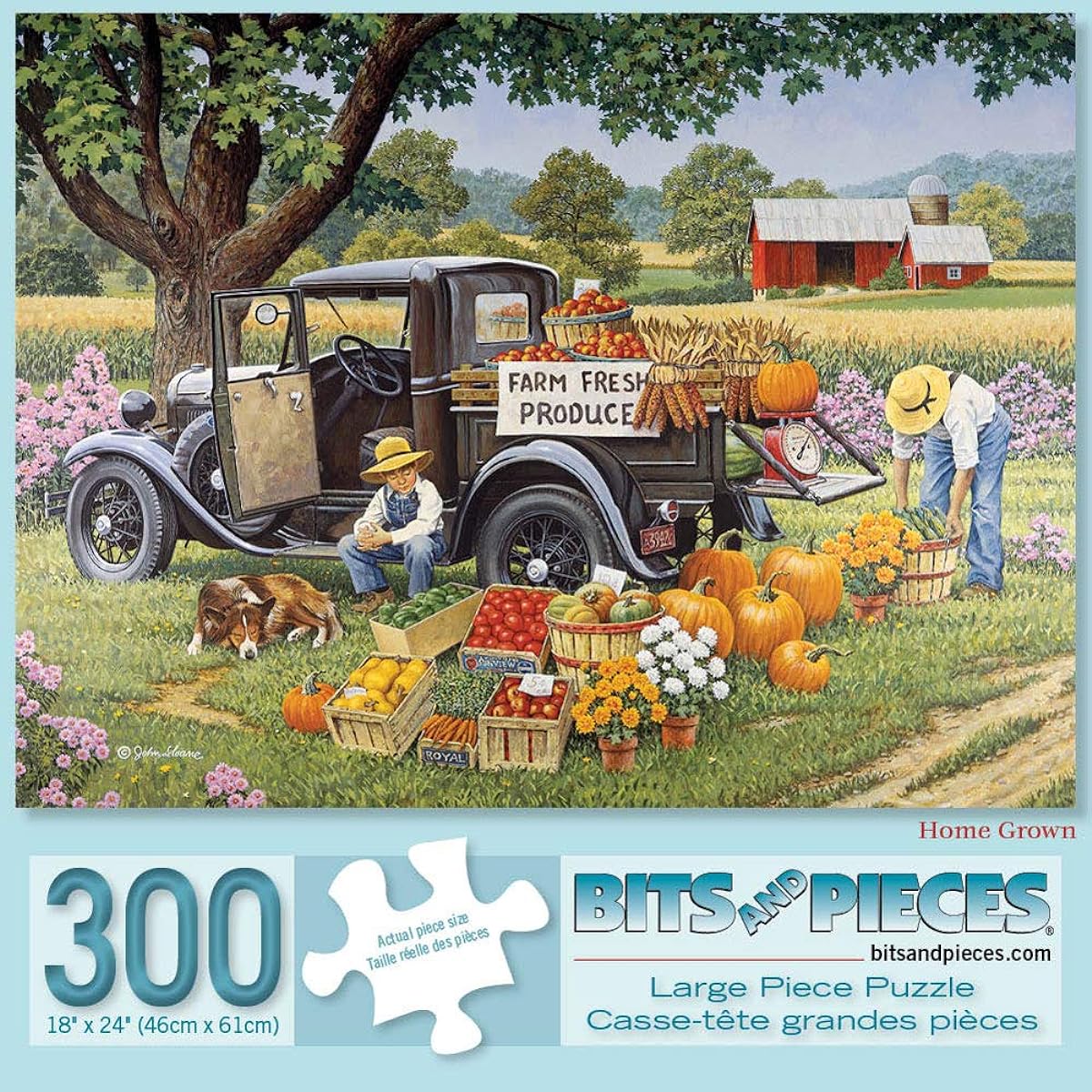 Bits and Pieces - 300 Piece Jigsaw Puzzle for Adults 46cm x 60cm - Home Grown - 300 pc Jigsaw by Artist John Sloane