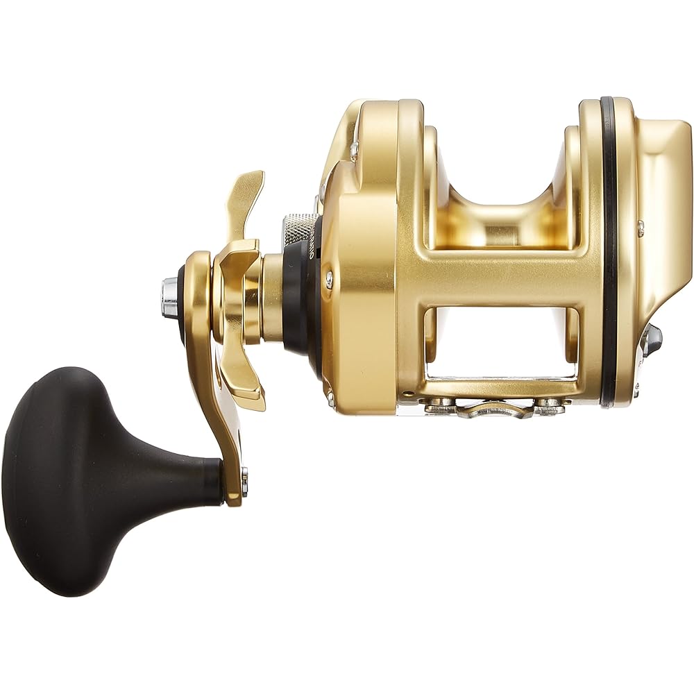 SHIMANO Stone sea bream/carp reel Double-axis long throw reel 15 KAIKON