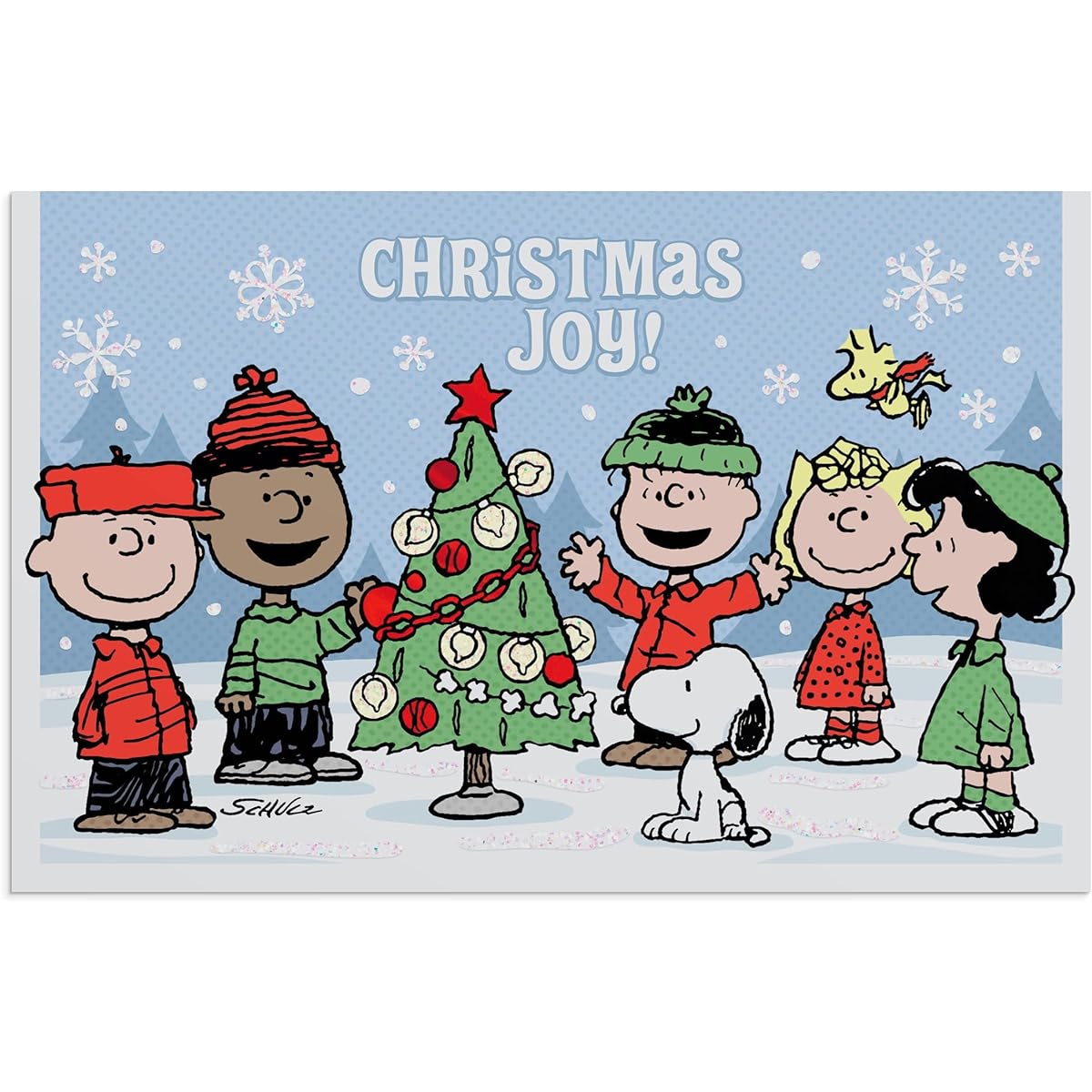 Peanuts Christmas Joy! - Christmas Wonders - 18 Christmas Boxed Cards, NLT