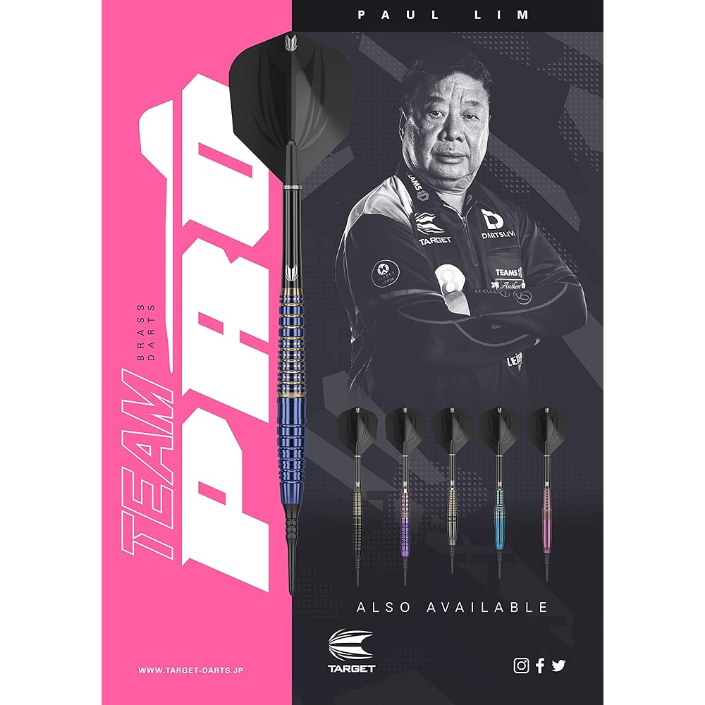 TEAM PRO Series PAUL LIM BRASS 17G 2BA Brass dart set (with special case)