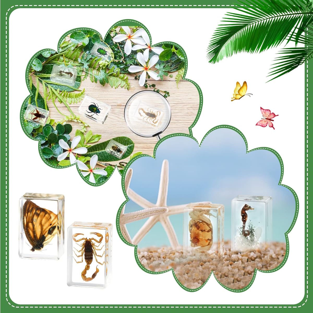 20pcs Resin Bugs Preserved Specimen Collection Paperweight Resin Insects Various Insect Specimens for Office Men Women Biology Science Teacher Education Bug Collection Supplies (Butterfly)