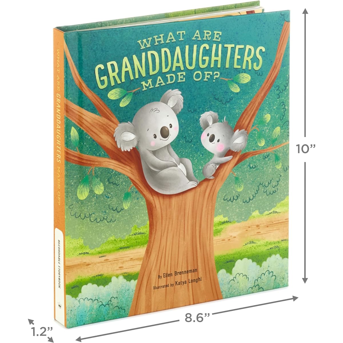 Hallmark Recordable Books for Children (What Are Granddaughters Made of?)