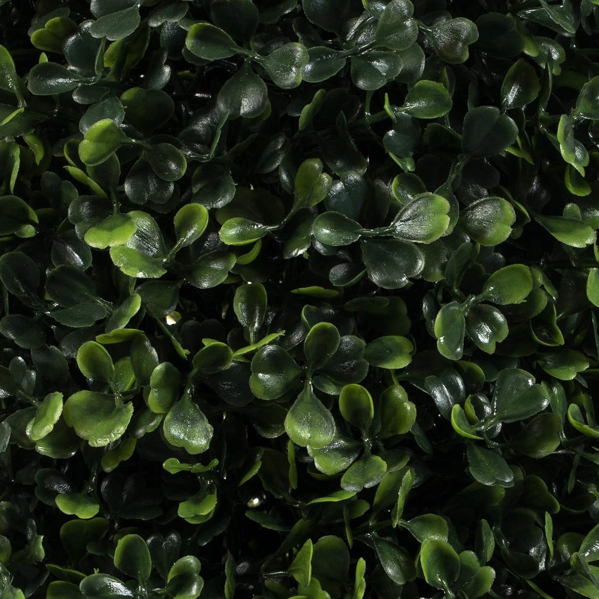 Vickerman Everyday Artificial Boxwood Topiary Cone 5' Tall - UV Resistant Indoor Outdoor - Potted Natural Green - Fake Tree Decor for Home Patio Entryway