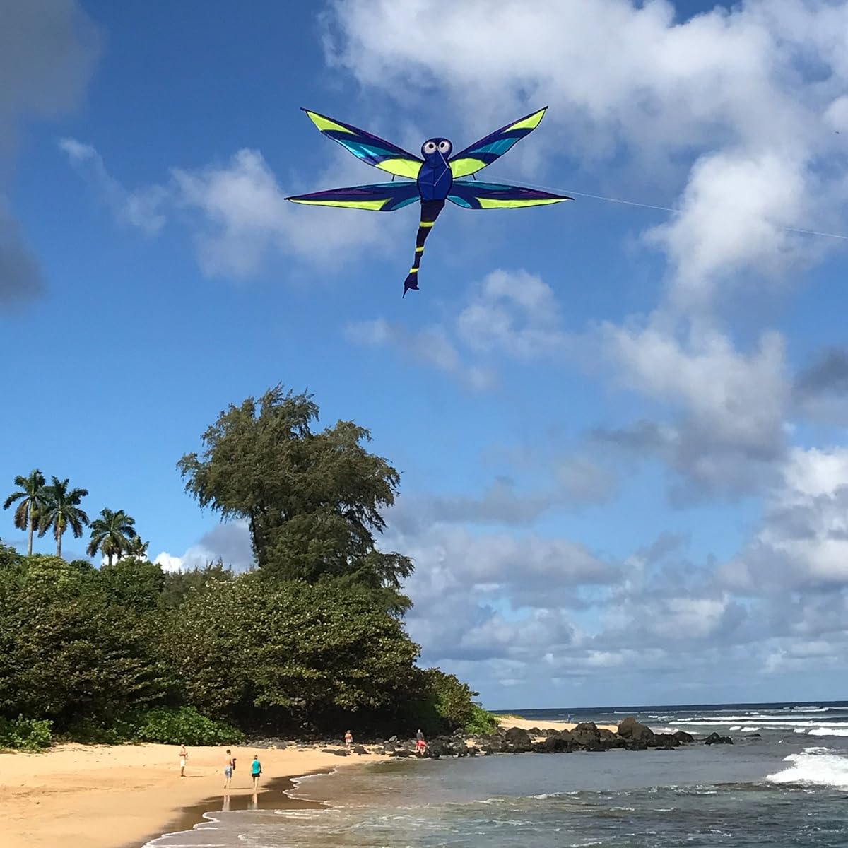 In the Breeze Harmony Dragonfly Kite